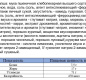 Лапша яичная БП "Бизнес Ланч" со вкусом тушеной курицы и луком 45гр х 100 брикет