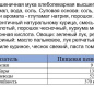 Лапша БП "БИГ ЛАНЧ" курица тушеная и лук 100гр x 48 мет. пленка брикет